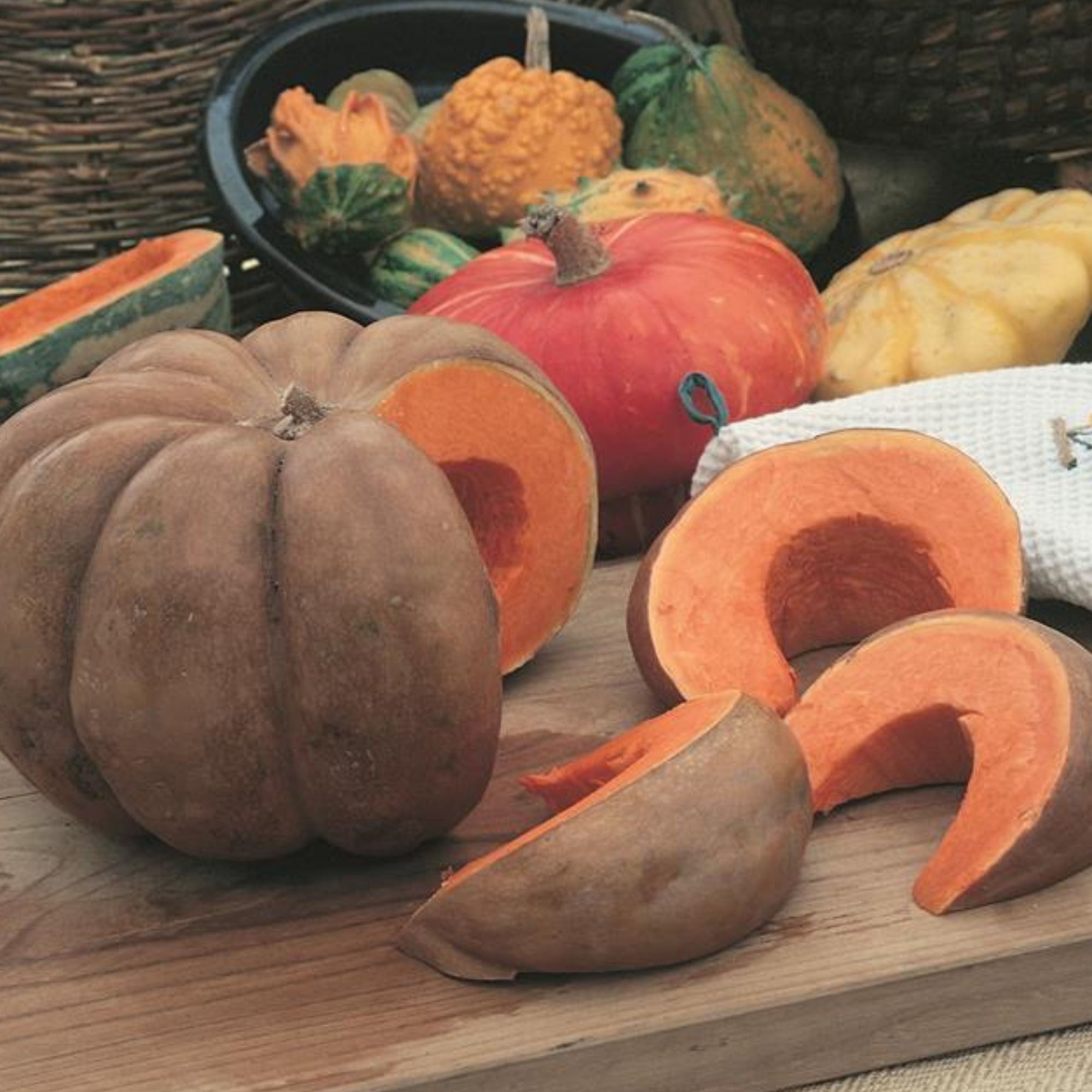 Squash Seeds, Winter - Calabaza de Castilla -5 Lb Bulk ~13600 Seeds - Non-GMO, Heirloom - Vegetable Garden &